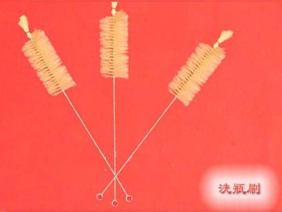 點擊查看詳細信息<br>標題：洗瓶刷 閱讀次數(shù)：2341